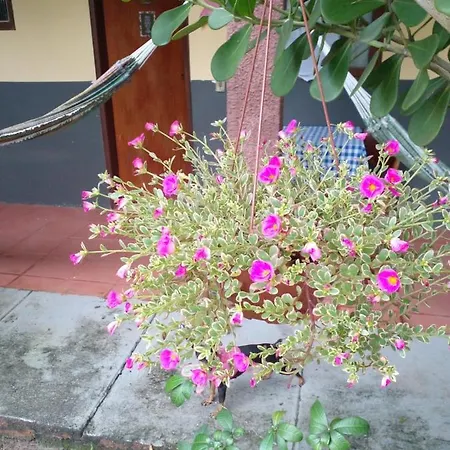 Pousada Sol das Amendoeiras-3